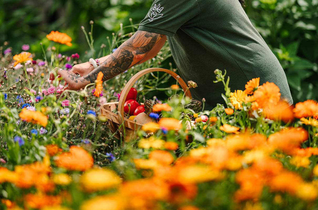 Want to see what else is growing in the garden?