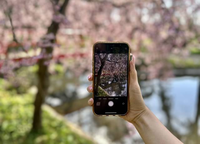 Exploring the Gardens of Exclusive Collection: A Springtime Stroll Through Our Estates